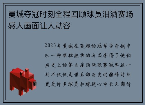 曼城夺冠时刻全程回顾球员泪洒赛场感人画面让人动容
