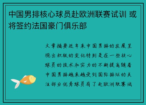 中国男排核心球员赴欧洲联赛试训 或将签约法国豪门俱乐部