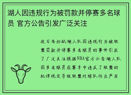 湖人因违规行为被罚款并停赛多名球员 官方公告引发广泛关注