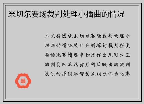 米切尔赛场裁判处理小插曲的情况